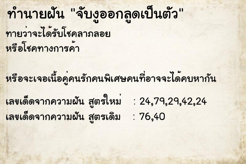 ทำนายฝันทำนายฝันจับงูออกลูดเป็นตัว