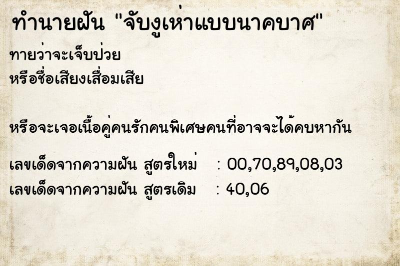 ทำนายฝันจับงูเห่าแบบนาคบาศ ทำนายฝันทำนายฝันจับงูเห่าแบบนาคบาศ