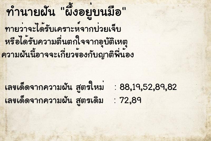 ทำนายฝัน ผึ้งอยู่บนมือ ทำนายฝัน ผึ้งอยู่บนมือ