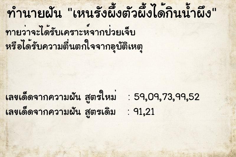 ทำนายฝันเหนรังผึ้งตัวผึ้งได้กินน้ำผึง ทำนายฝันทำนายฝันเหนรังผึ้งตัวผึ้งได้กินน้ำผึง