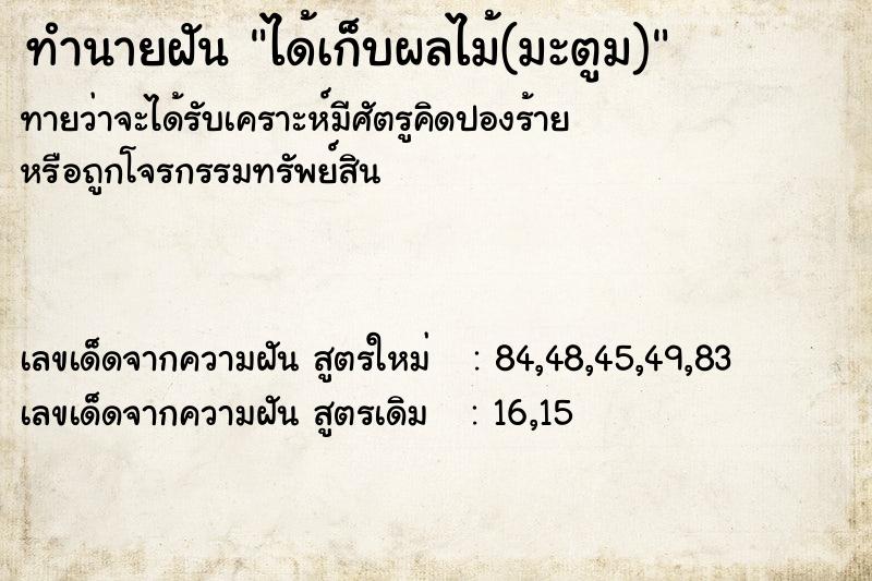 ทำนายฝันทำนายฝันได้เก็บผลไม้(มะตูม)