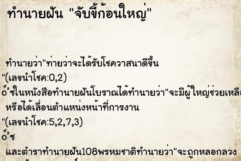 ทำนายฝัน จับขี้ก้อนใหญ่ ทำนายฝัน จับขี้ก้อนใหญ่