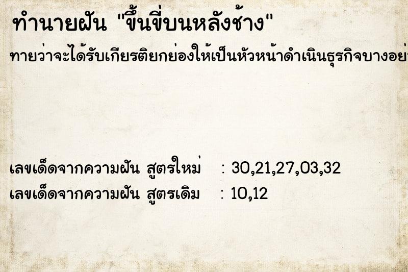 ทำนายฝันขึ้นขี่บนหลังช้าง ทำนายฝันทำนายฝันขึ้นขี่บนหลังช้าง