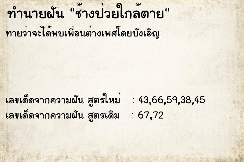 ทำนายฝัน ช้างป่วยใกล้ตาย