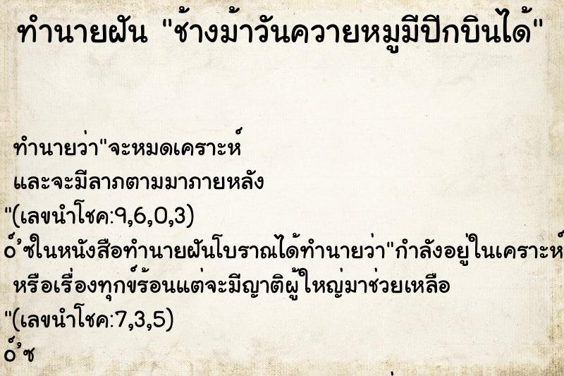 ทำนายฝัน ช้างม้าวันควายหมูมีปีกบินได้ ทำนายฝัน ช้างม้าวันควายหมูมีปีกบินได้