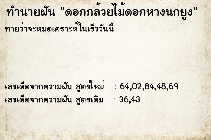 ทำนายฝันทำนายฝันดอกกล้วยไม้ดอกหางนกยูง