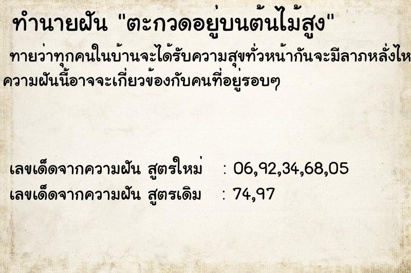 ทำนายฝัน ตะกวดอยู่บนต้นไม้สูง ทำนายฝัน ตะกวดอยู่บนต้นไม้สูง