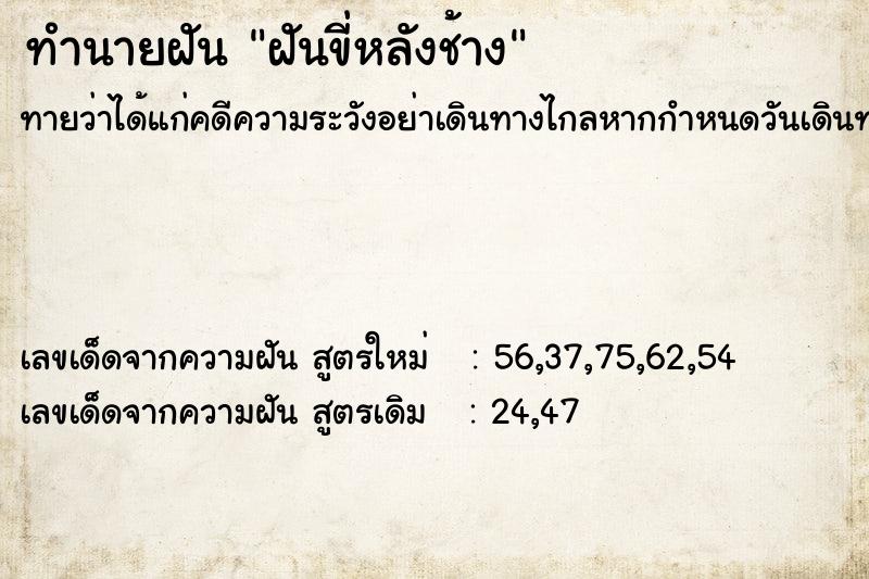 ทำนายฝัน ฝันขี่หลังช้าง ตำราโบราณ แม่นที่สุดในโลก