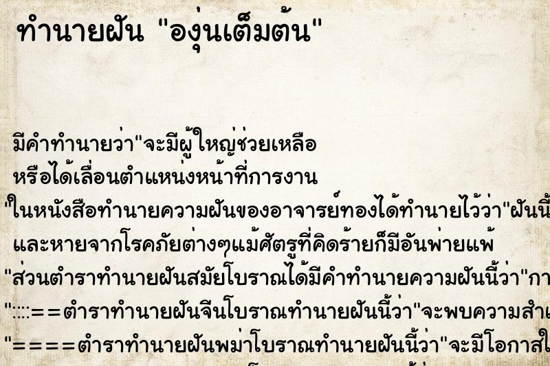 ทำนายฝัน องุ่นเต็มต้น ทำนายฝัน องุ่นเต็มต้น