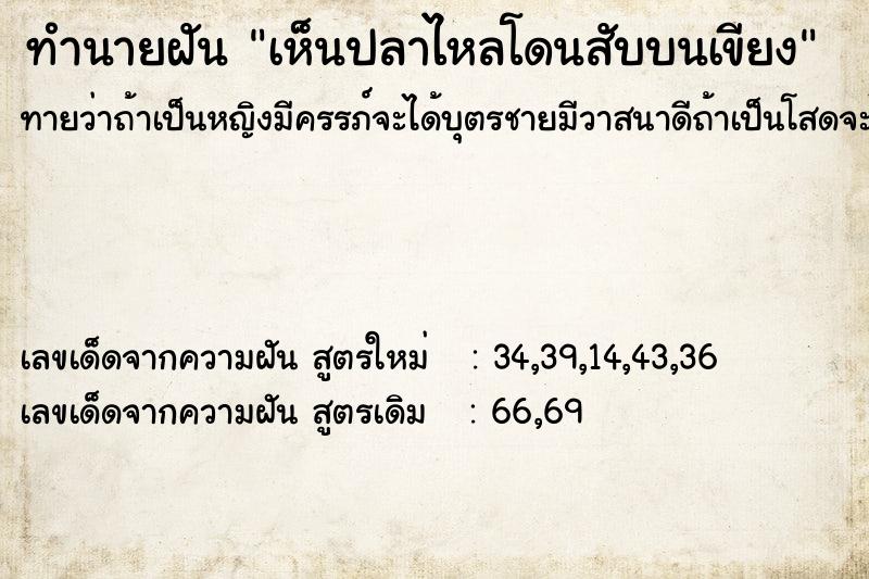 ทำนายฝันเห็นปลาไหลโดนสับบนเขียง ทำนายฝันทำนายฝันเห็นปลาไหลโดนสับบนเขียง