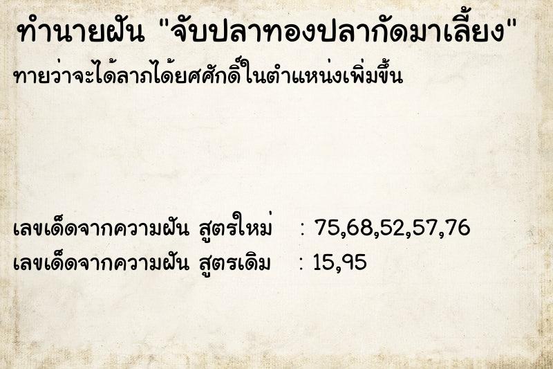 ทำนายฝันจับปลาทองปลากัดมาเลี้ยง ทำนายฝันทำนายฝันจับปลาทองปลากัดมาเลี้ยง