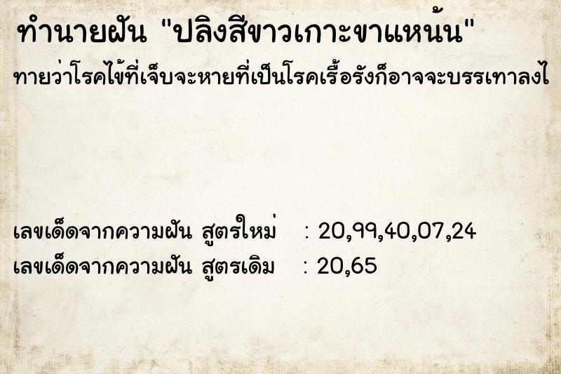 ทำนายฝันปลิงสีขาวเกาะขาแหน้น ทำนายฝันทำนายฝันปลิงสีขาวเกาะขาแหน้น