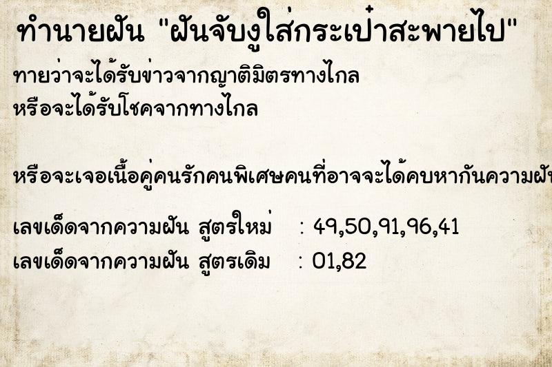 ทำนายฝันทำนายฝันฝันจับงูใส่กระเป๋าสะพายไป