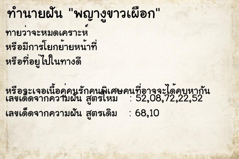 ทำนายฝันพญางูขาวเผือก ทำนายฝันทำนายฝันพญางูขาวเผือก