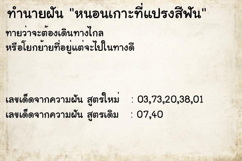 ทำนายฝันทำนายฝันหนอนเกาะที่แปรงสีฟัน