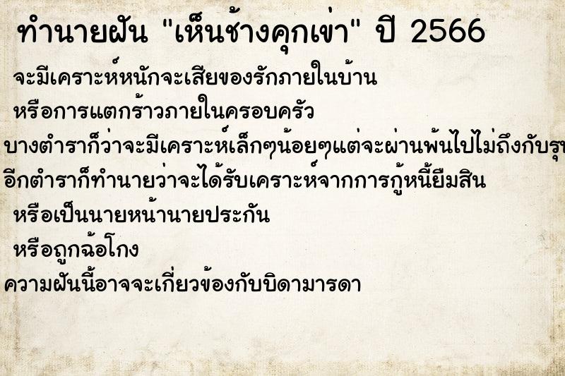 ทำนายฝัน เห็นช้างคุกเข่า ทำนายฝัน เห็นช้างคุกเข่า