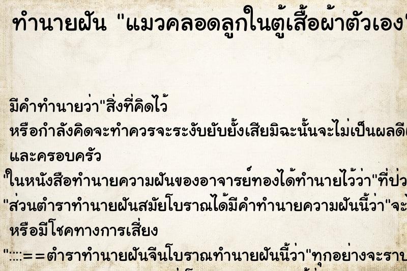 ทำนายฝัน แมวคลอดลูกในตู้เสื้อผ้าตัวเอง ตำราโบราณ แม่นที่สุดในโลก