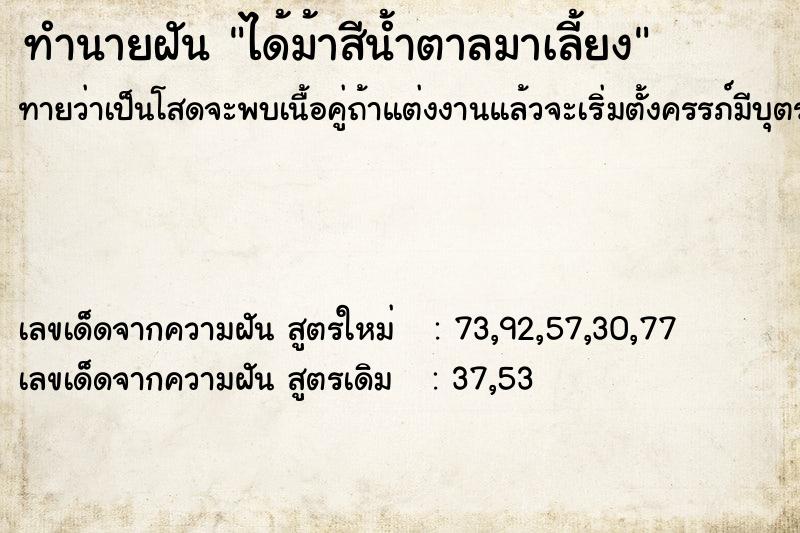 ทำนายฝันทำนายฝันได้ม้าสีน้ำตาลมาเลี้ยง