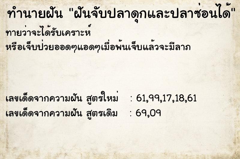 ทำนายฝันฝันจับปลาดุกและปลาซ่อนได้ ทำนายฝันทำนายฝันฝันจับปลาดุกและปลาซ่อนได้