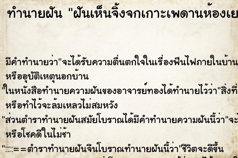 ทำนายฝัน ฝันเห็นจิ้งจกเกาะเพดานห้องเยอะมาก ทำนายฝัน ฝันเห็นจิ้งจกเกาะเพดานห้องเยอะมาก
