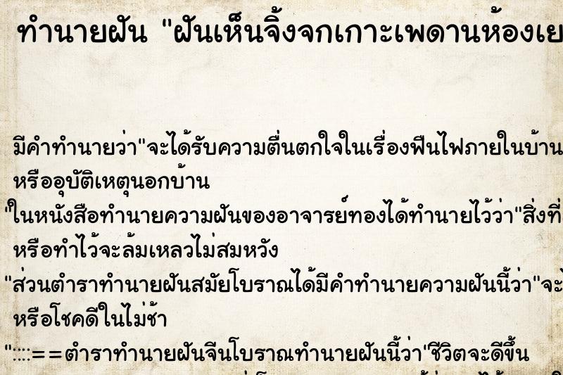 ทำนายฝัน ฝันเห็นจิ้งจกเกาะเพดานห้องเยอะมาก ตำราโบราณ แม่นที่สุดในโลก