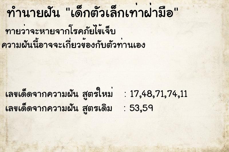 ทำนายฝันเด็กตัวเล็กเท่าฝ่ามือ ทำนายฝันทำนายฝันเด็กตัวเล็กเท่าฝ่ามือ