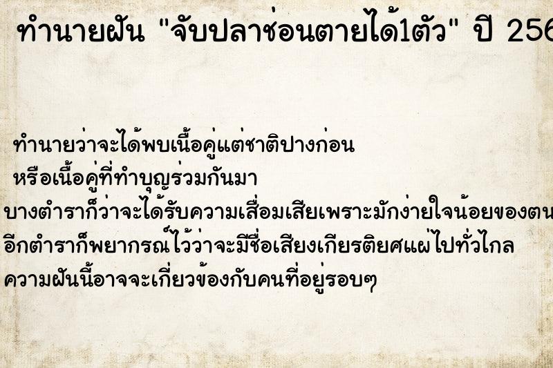 ทำนายฝัน จับปลาช่อนตายได้1ตัว ทำนายฝัน จับปลาช่อนตายได้1ตัว