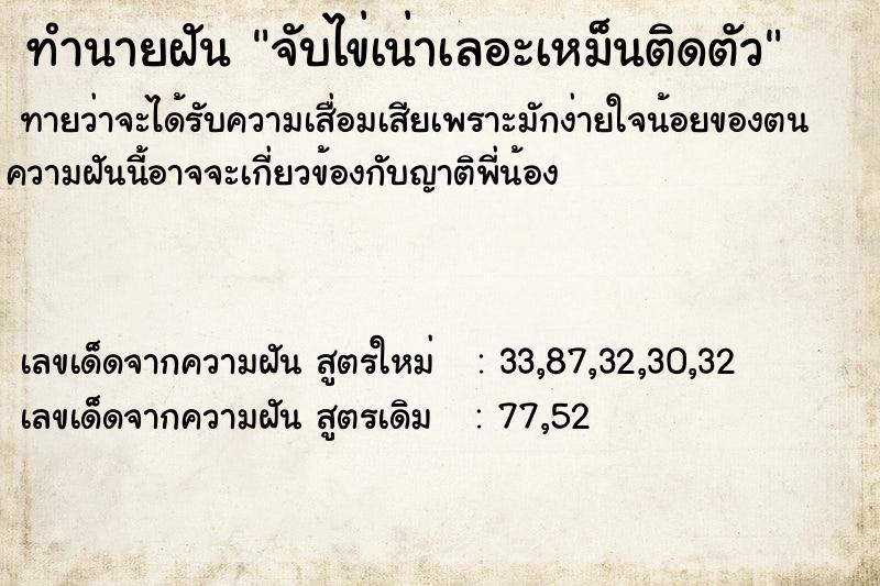 ทำนายฝันจับไข่เน่าเลอะเหม็นติดตัว ทำนายฝันทำนายฝันจับไข่เน่าเลอะเหม็นติดตัว