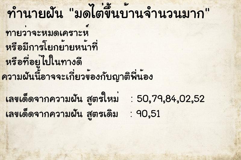ทำนายฝันมดไต่ขึ้นบ้านจำนวนมาก ทำนายฝันทำนายฝันมดไต่ขึ้นบ้านจำนวนมาก