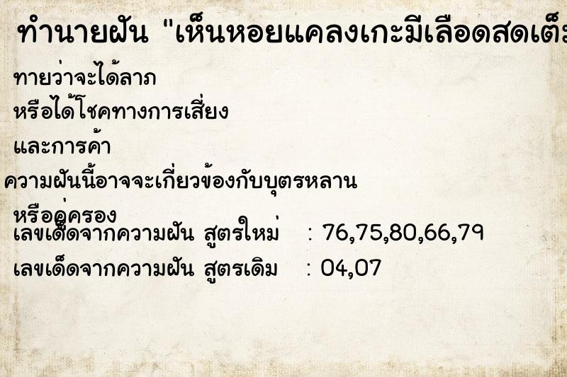 ทำนายฝัน เห็นหอยแคลงเกะมีเลือดสดเต็มเลย