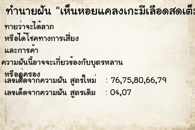 ทำนายฝัน เห็นหอยแคลงเกะมีเลือดสดเต็มเลย ตำราโบราณ แม่นที่สุดในโลก