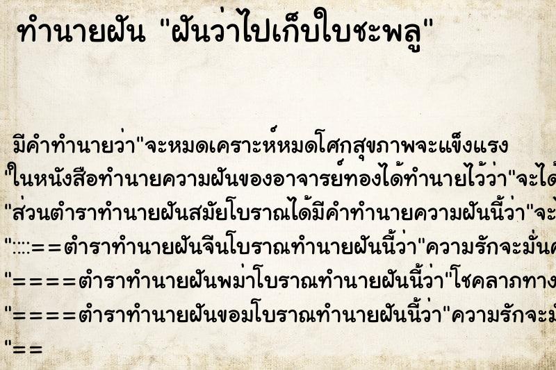 ทำนายฝัน ฝันว่าไปเก็บใบชะพลู ทำนายฝัน ฝันว่าไปเก็บใบชะพลู