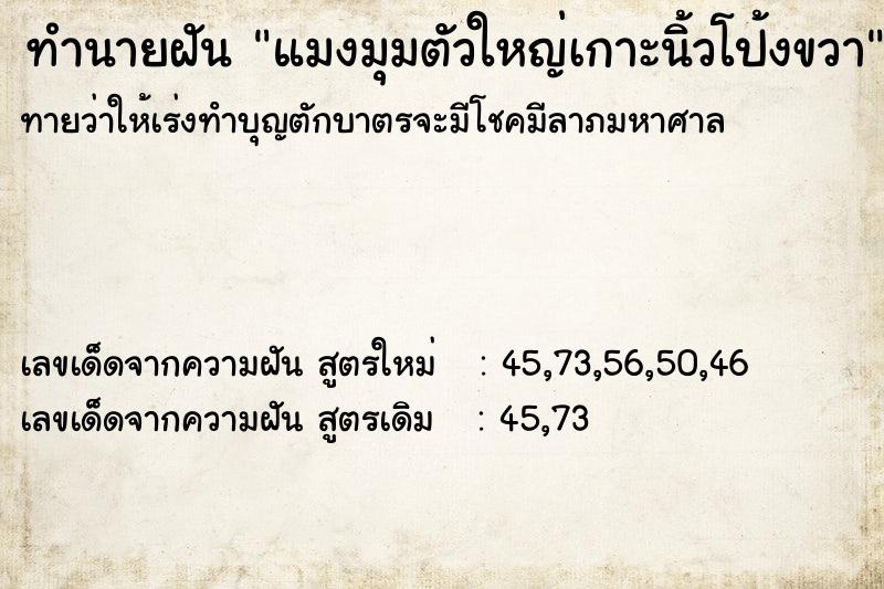 ทำนายฝันทำนายฝันแมงมุมตัวใหญ่เกาะนิ้วโป้งขวา