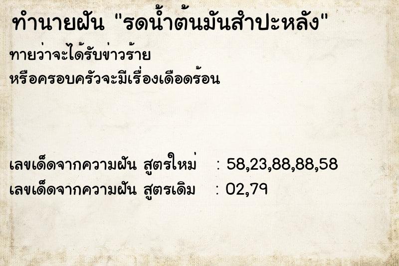 ทำนายฝัน รดน้ำต้นมันสำปะหลัง