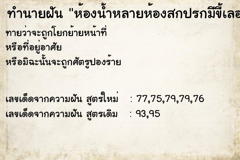 ทำนายฝันทำนายฝันห้องน้ำหลายห้องสกปรกมีขี้เลอะ