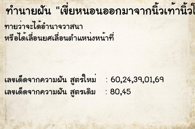 ทำนายฝันเขี่ยหนอนออกมาจากนิ้วเท้านิ้วโป้ง ทำนายฝันทำนายฝันเขี่ยหนอนออกมาจากนิ้วเท้านิ้วโป้ง