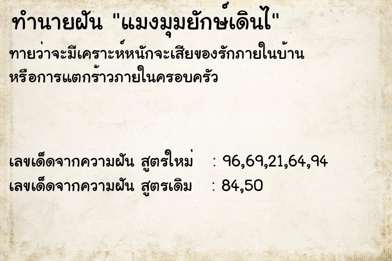 ทำนายฝันแมงมุมยักษ์เดินไ ทำนายฝันทำนายฝันแมงมุมยักษ์เดินไ