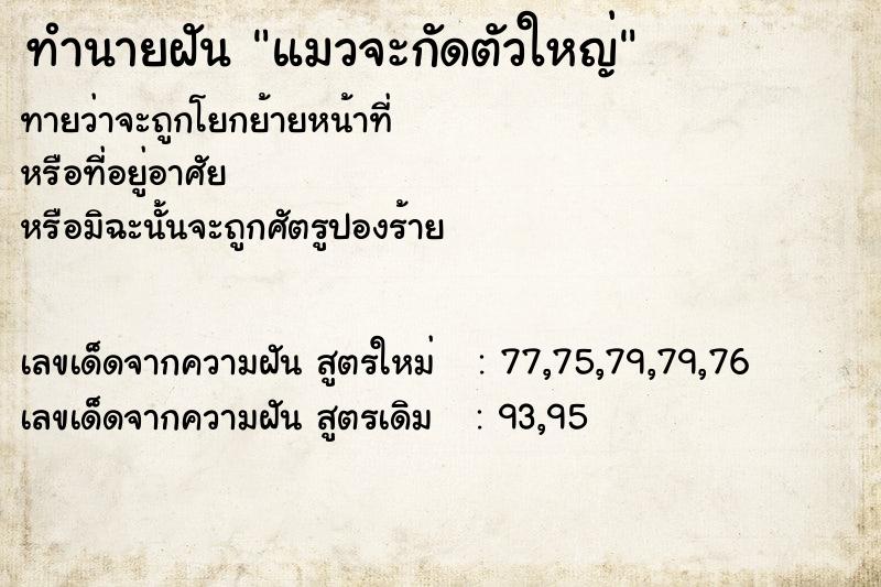 ทำนายฝันแมวจะกัดตัวใหญ่ ทำนายฝันทำนายฝันแมวจะกัดตัวใหญ่