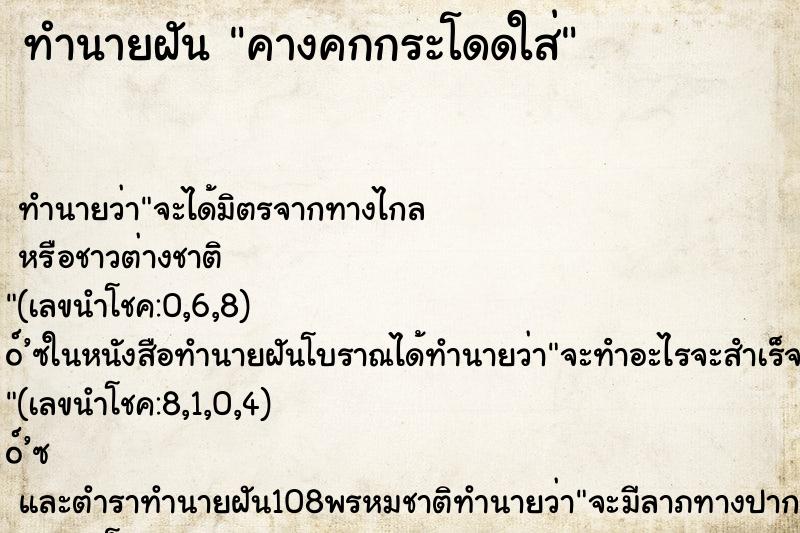 ทำนายฝันคางคกกระโดดใส่ ทำนายฝันทำนายฝันคางคกกระโดดใส่