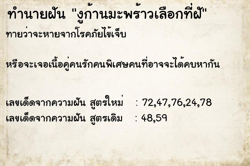 ทำนายฝันงูก้านมะพร้าวเลือกที่ฝั ทำนายฝันทำนายฝันงูก้านมะพร้าวเลือกที่ฝั