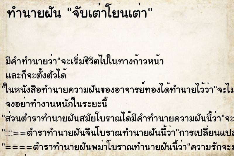 ทำนายฝันจับเต่าโยนเต่า ทำนายฝันทำนายฝันจับเต่าโยนเต่า