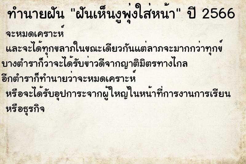 ทำนายฝัน ฝันเห็นงูพุ่งใส่หน้า ทำนายฝัน ฝันเห็นงูพุ่งใส่หน้า
