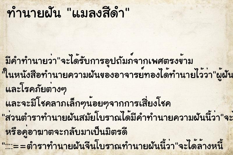 ทำนายฝันแมลงสีดำ ทำนายฝันทำนายฝันแมลงสีดำ