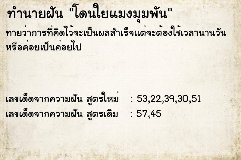 ทำนายฝันทำนายฝันโดนใยแมงมุมพัน