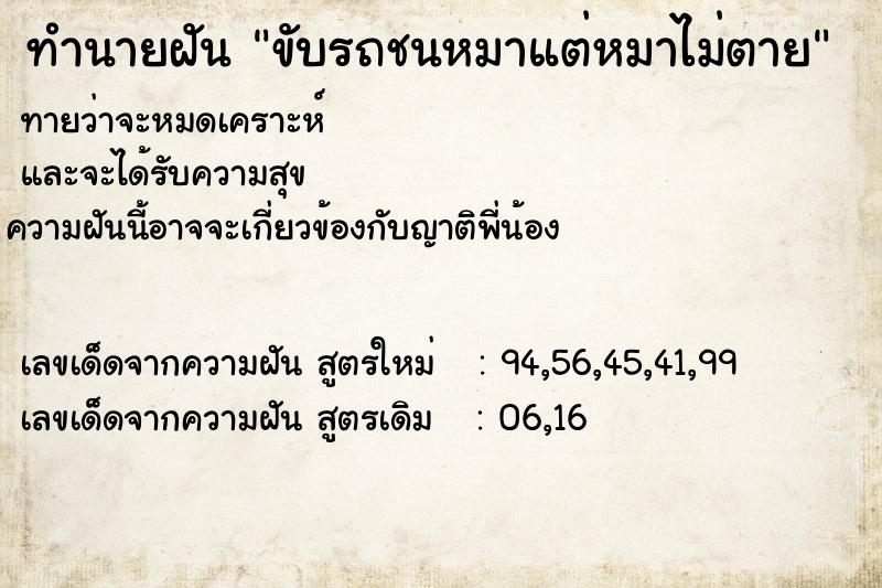 ทำนายฝันขับรถชนหมาแต่หมาไม่ตาย ทำนายฝันทำนายฝันขับรถชนหมาแต่หมาไม่ตาย