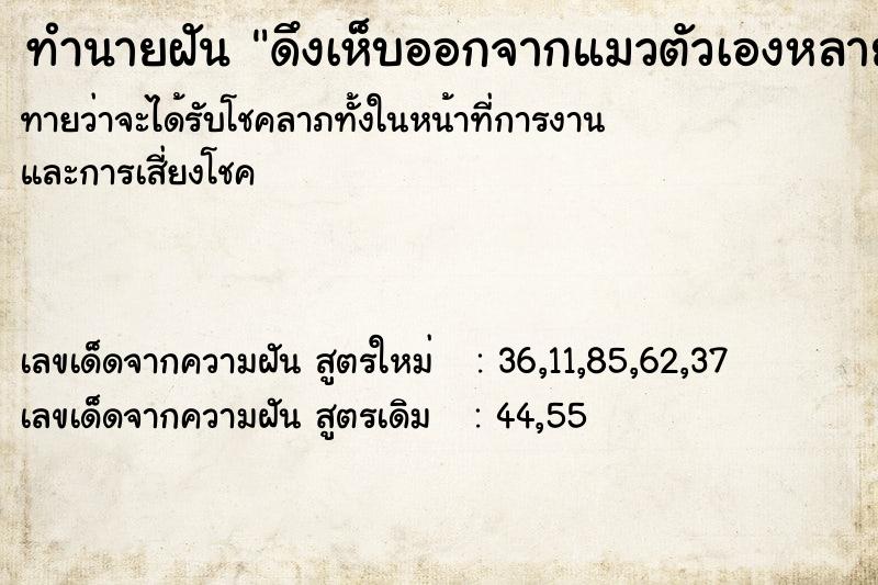 ทำนายฝันทำนายฝันดึงเห็บออกจากแมวตัวเองหลายตัวมีเลือดเต็มท้อง