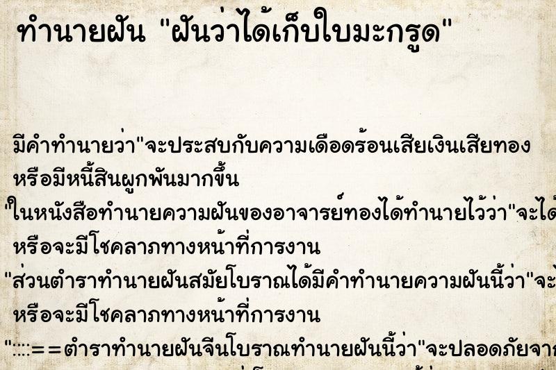 ทำนายฝัน ฝันว่าได้เก็บใบมะกรูด ทำนายฝัน ฝันว่าได้เก็บใบมะกรูด