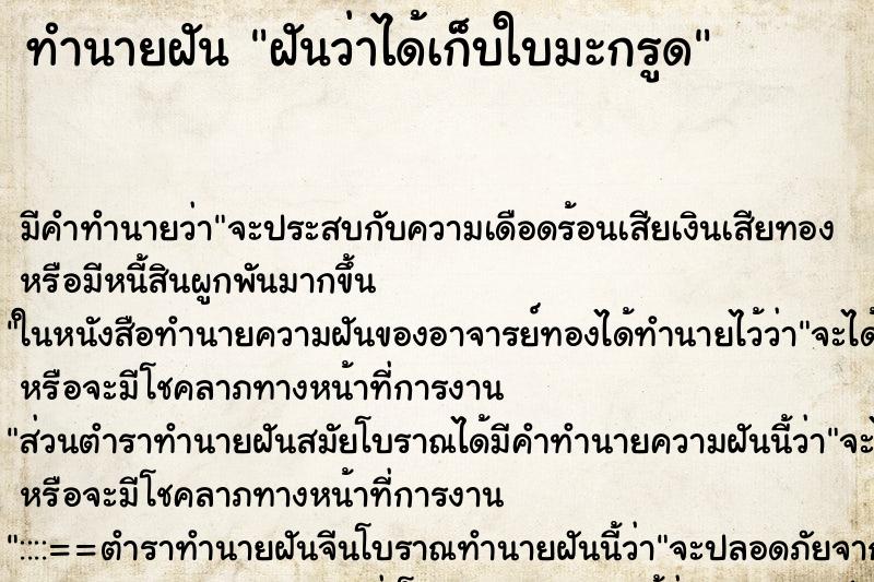 ทำนายฝัน ฝันว่าได้เก็บใบมะกรูด ตำราโบราณ แม่นที่สุดในโลก