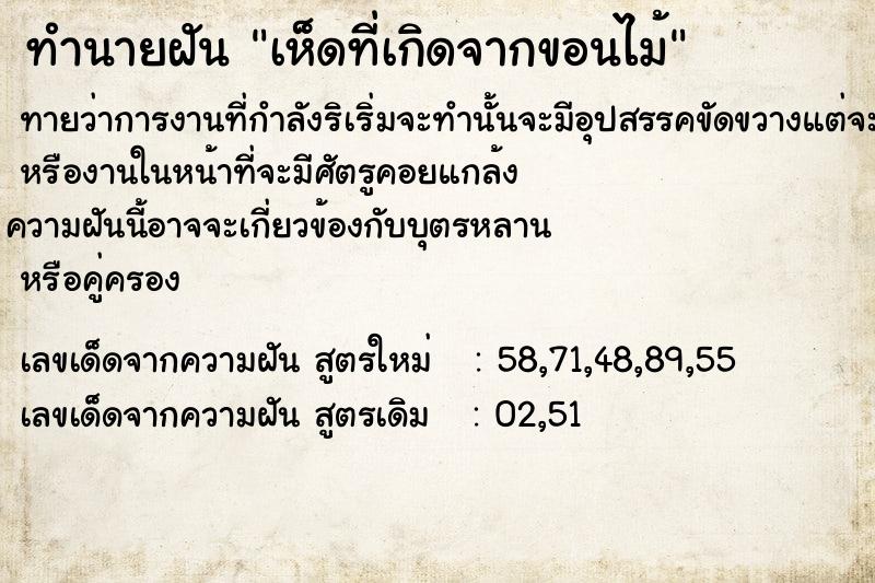 ทำนายฝันเห็ดที่เกิดจากขอนไม้ ทำนายฝันทำนายฝันเห็ดที่เกิดจากขอนไม้