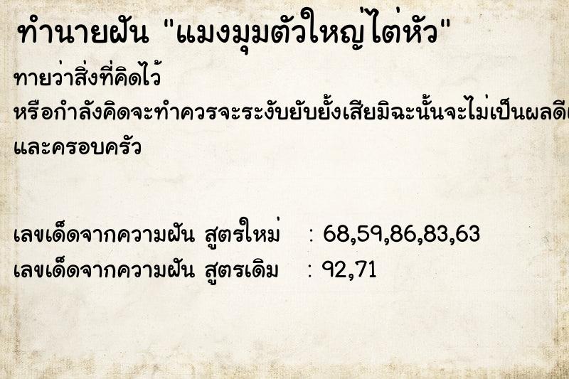 ทำนายฝัน แมงมุมตัวใหญ่ไต่หัว